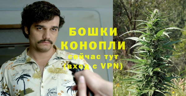 трава Медвежьегорск