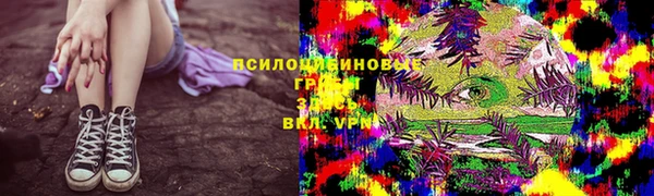 трава Медвежьегорск