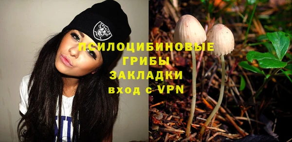 трава Медвежьегорск