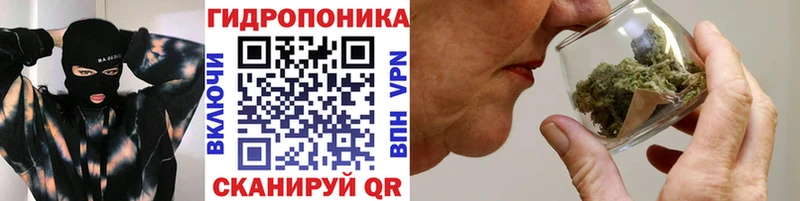 Конопля гибрид  купить наркотики цена  Оренбург 